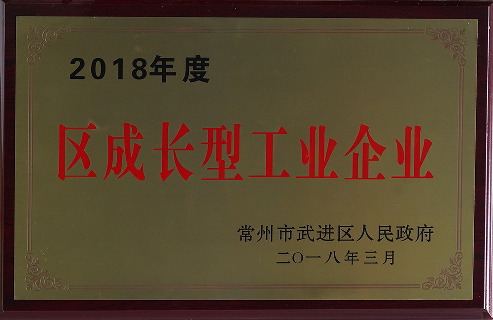 2018年度區(qū)成長(zhǎng)型工業(yè)企業(yè)